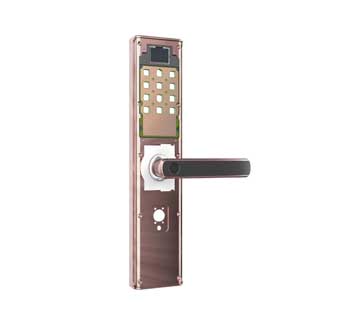 How to Choose a Smart Door Lock?