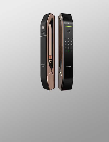 Automatic Push-Pull Smart Door Lock