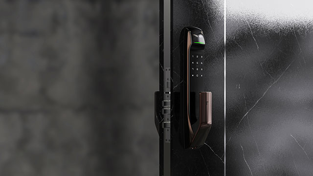 Technical Specs of Tuya Residential Keyless Push-Pull Automatic Smart Lock