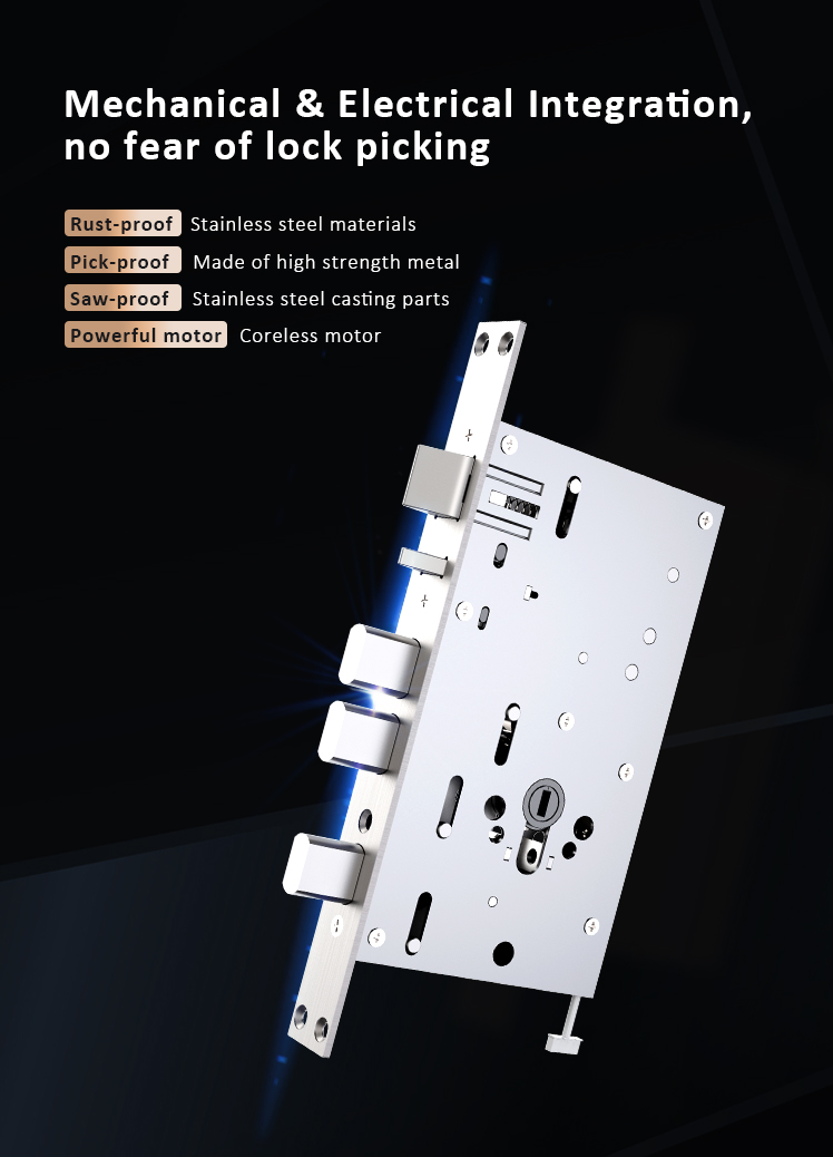 Smart Lock Door Knob