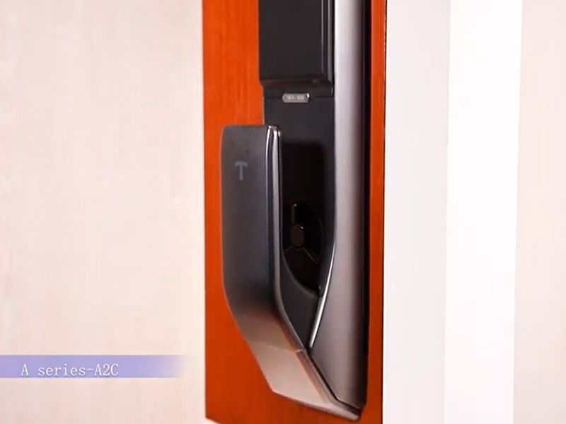 Push-pull Automatic Fingerprint Door Lock