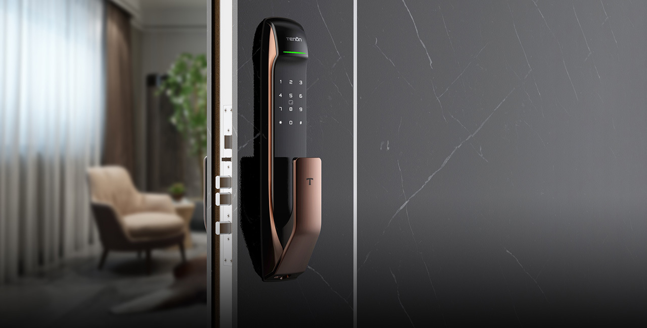 Tuya Residential Keyless Push-Pull Automatic Smart Lock