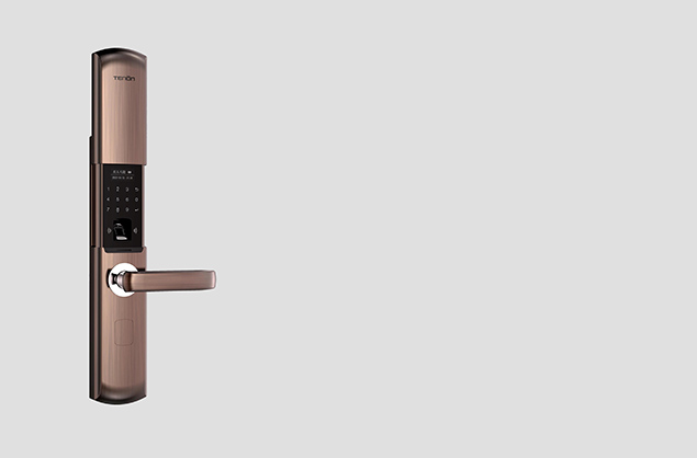 Sliding Smart Door Lock